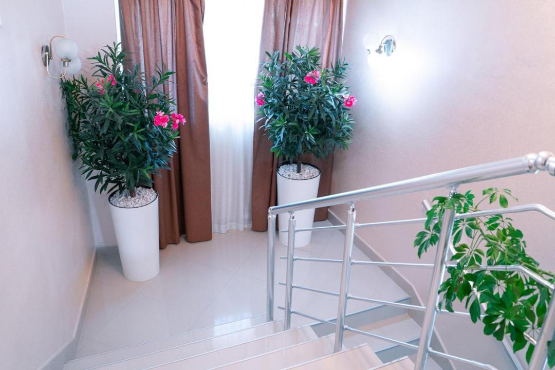 Hotel Zeleni Vir Ni Kültér fotó